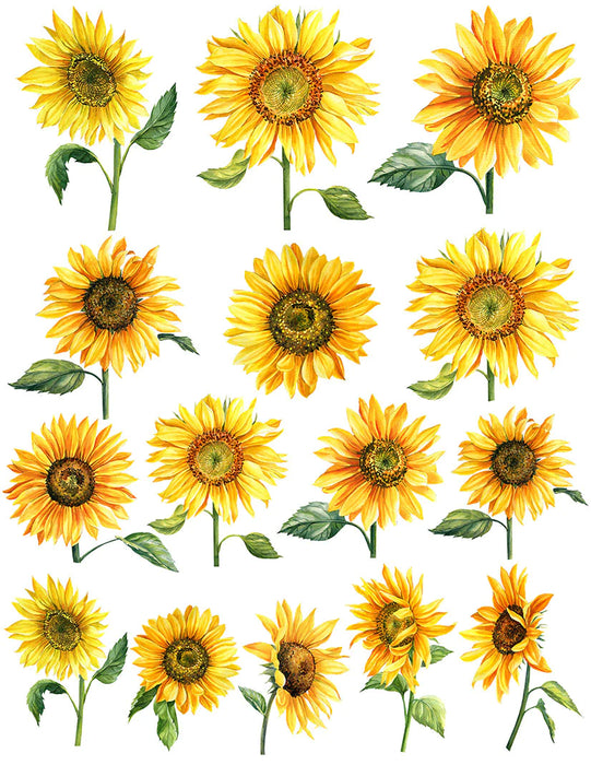 OVERGLAZE DECAL SUNFLOWER